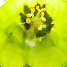 突破性能极限的网站攻击源码